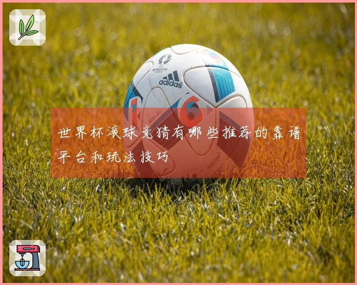 世界杯滚球竞猜有哪些推荐的靠谱平台和玩法技巧
