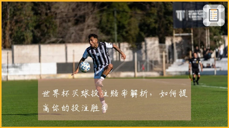 世界杯买球投注赔率解析，如何提高你的投注胜率