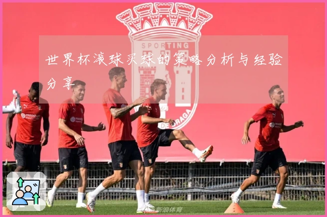 世界杯滚球买球的策略分析与经验分享