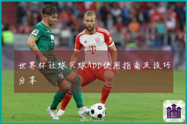 世界杯让球买球App使用指南及技巧分享