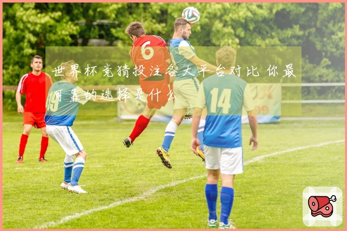 世界杯竞猜投注各大平台对比 你最可靠的选择是什么