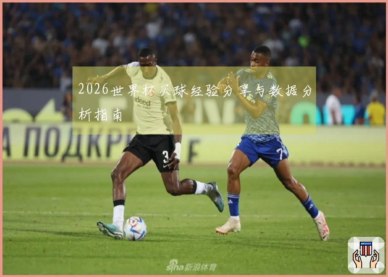 2026世界杯买球经验分享与数据分析指南