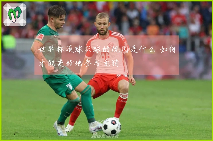 世界杯滚球买球的规则是什么 如何才能更好地参与竞猜