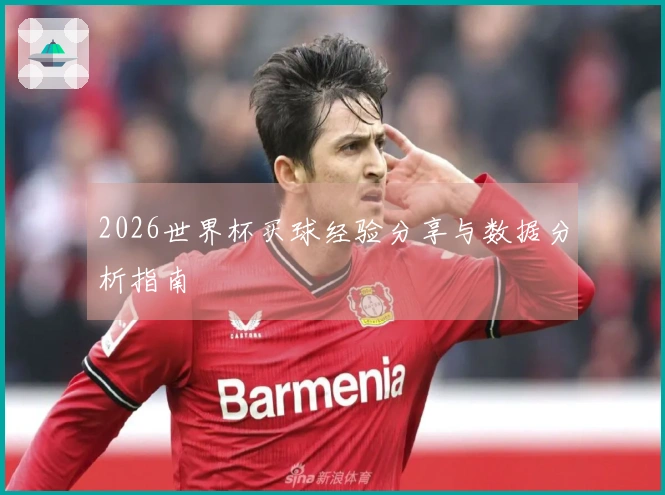 2026世界杯买球经验分享与数据分析指南
