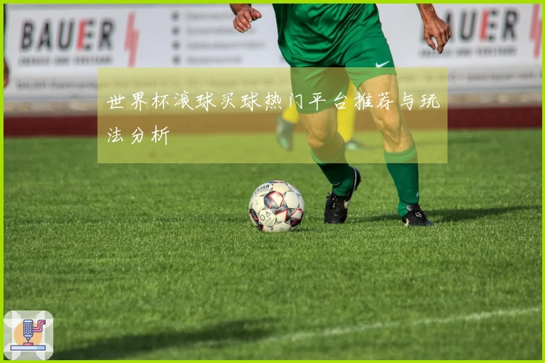 世界杯滚球买球热门平台推荐与玩法分析