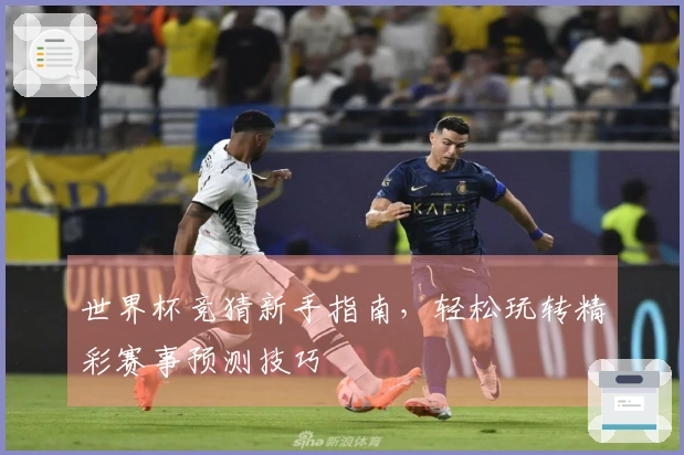世界杯竞猜新手指南，轻松玩转精彩赛事预测技巧