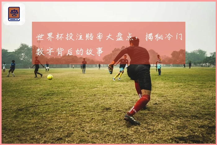 世界杯投注赔率大盘点，揭秘冷门数字背后的故事