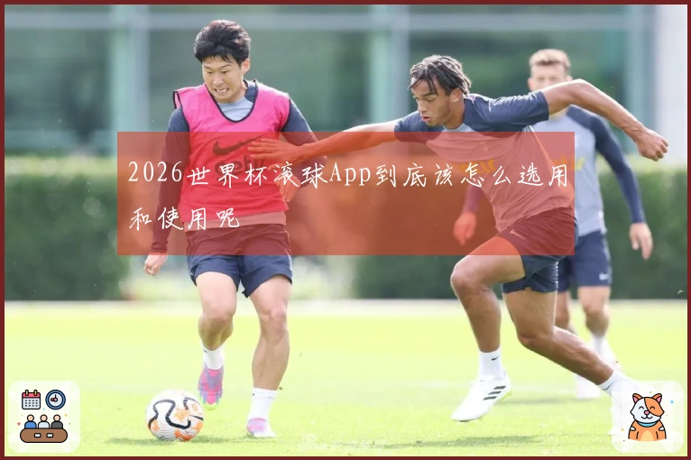 2026世界杯滚球App到底该怎么选用和使用呢