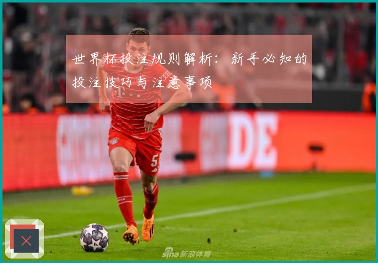 世界杯投注规则解析：新手必知的投注技巧与注意事项