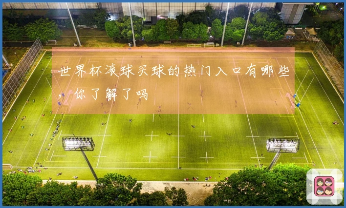 世界杯滚球买球的热门入口有哪些，你了解了吗