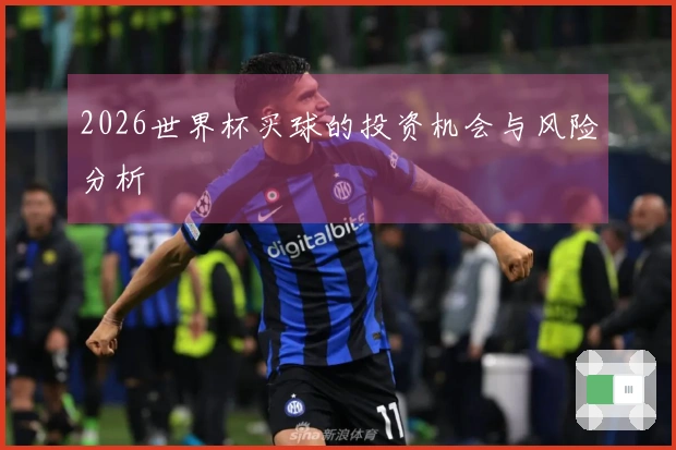 2026世界杯买球的投资机会与风险分析