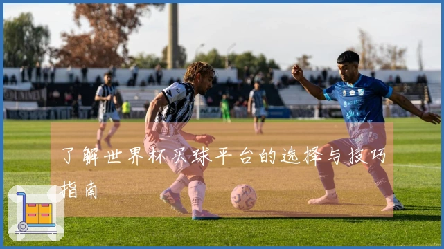了解世界杯买球平台的选择与技巧指南