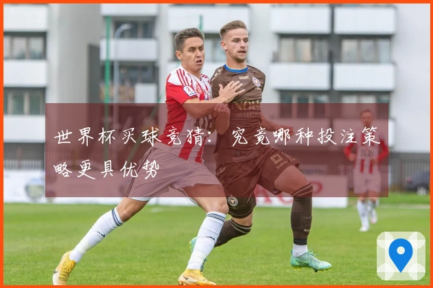 世界杯买球竞猜：究竟哪种投注策略更具优势