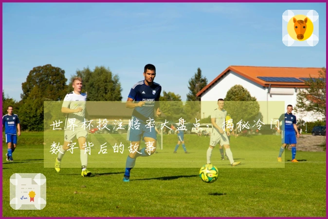 世界杯投注赔率大盘点，揭秘冷门数字背后的故事
