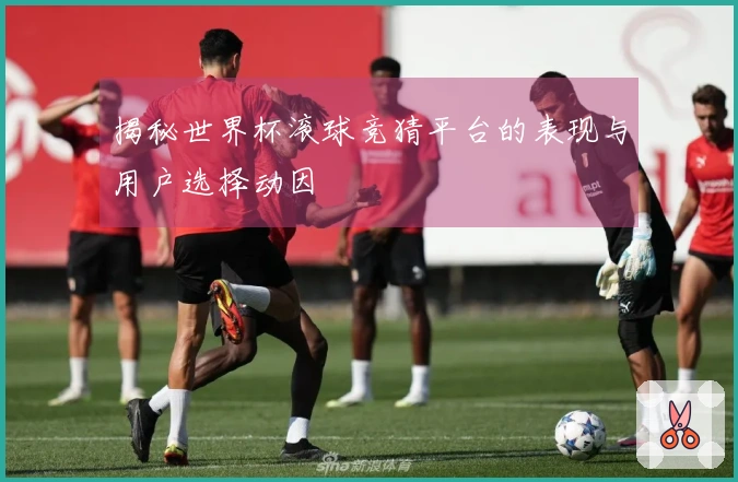 揭秘世界杯滚球竞猜平台的表现与用户选择动因