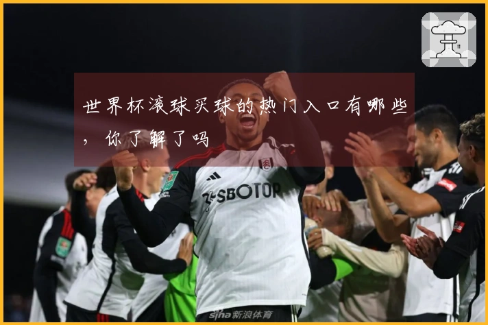 世界杯滚球买球的热门入口有哪些，你了解了吗