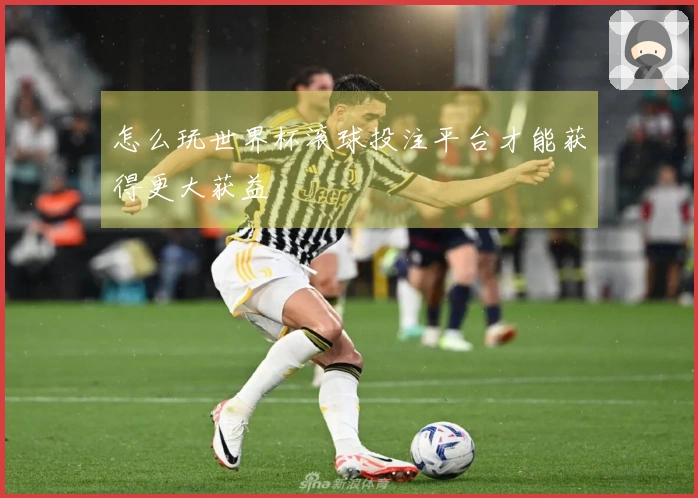 怎么玩世界杯滚球投注平台才能获得更大获益